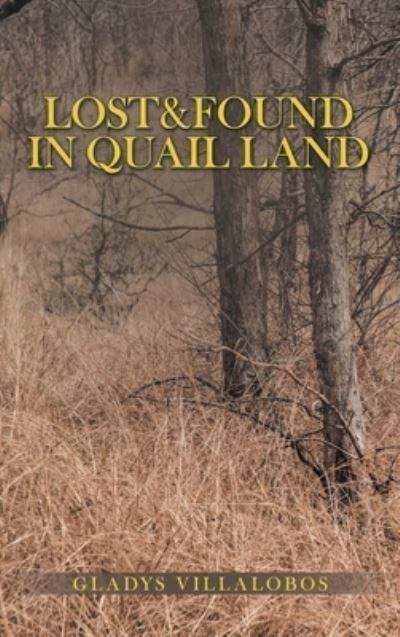 Gladys Villalobos · Lost&Found in Quail Land (Hardcover Book) (2022)