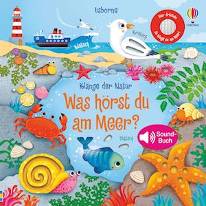 Klänge der Natur: Was hörst du am Meer? - Sam Taplin - Libros - Usborne Verlag - 9781789416602 - 16 de marzo de 2022