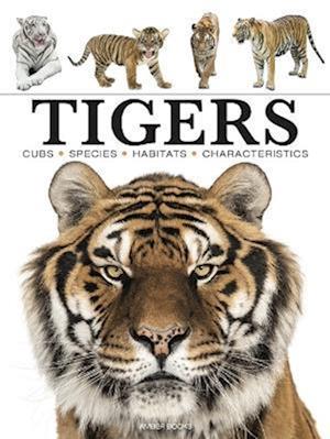 Cover for Paula Hammond · Tigers - Mini Encyclopedias (Paperback Book) (2023)