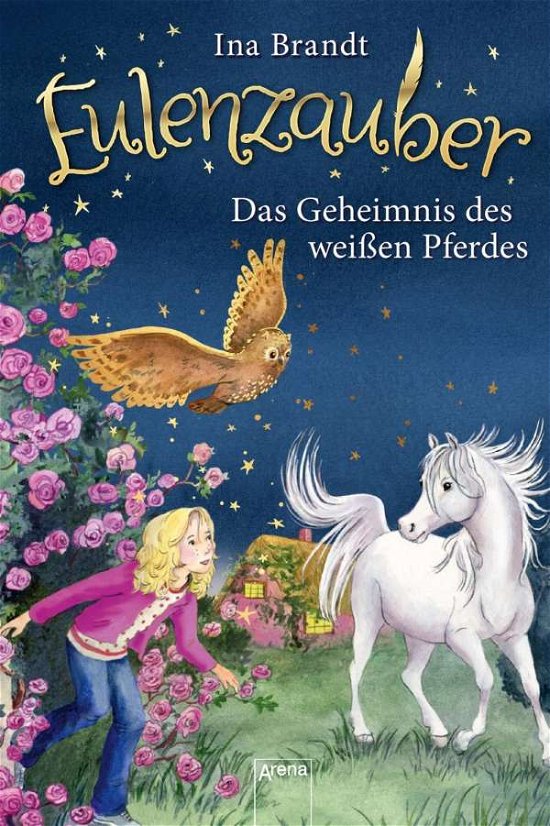 Cover for Brandt · Eulenzauber (13). Das Geheimnis (Bog)