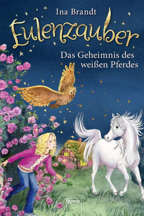 Cover for Brandt · Eulenzauber (13). Das Geheimnis (Buch)