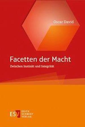 Facetten der Macht - David - Books -  - 9783503166602 - 