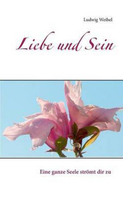 Cover for Ludwig Weibel · Liebe Und Sein (Paperback Book) (2015)