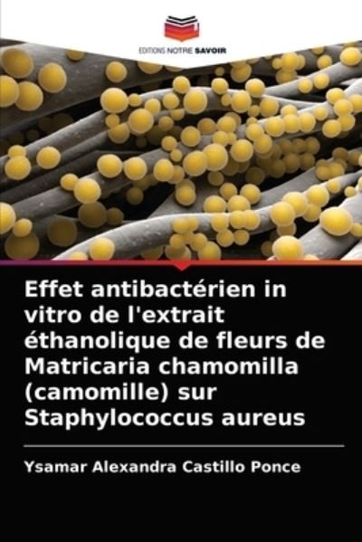 Cover for Ysamar Alexandra Castillo Ponce · Effet antibacterien in vitro de l'extrait ethanolique de fleurs de Matricaria chamomilla (camomille) sur Staphylococcus aureus (Pocketbok) (2021)