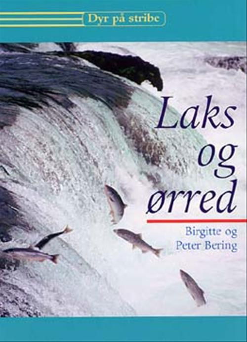 Cover for Peter Bering · Dyr på stribe: Laks og ørred (Sewn Spine Book) [1º edição] (2003)