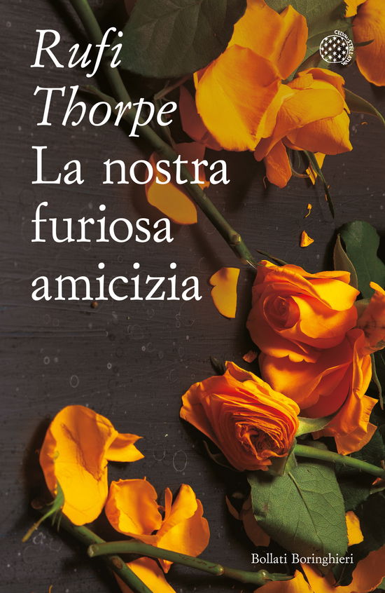 Cover for Rufi Thorpe · La Nostra Furiosa Amicizia (Book)