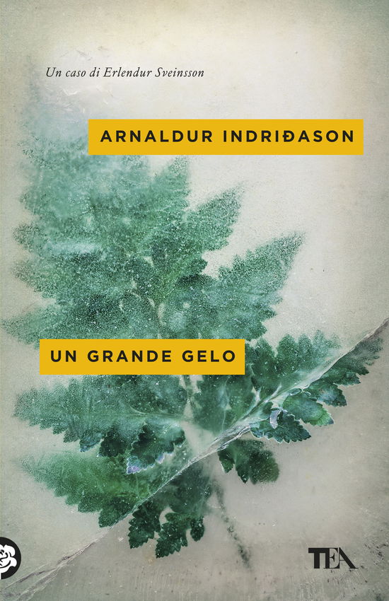 Cover for Arnaldur Indriðason · Un Grande Gelo. I Casi Dell'ispettore Erlendur Sveinsson #05 (Book)