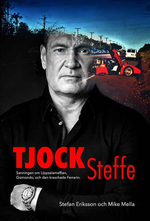 Cover for Stefan Eriksson · Tjock-steffe (Bound Book) (2024)