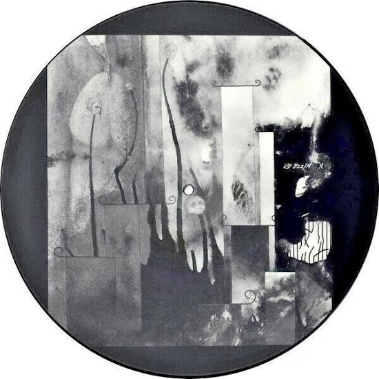 Cover for Current 93 · In Menstrual Night (LP) [Picture Disc edition] (2024)