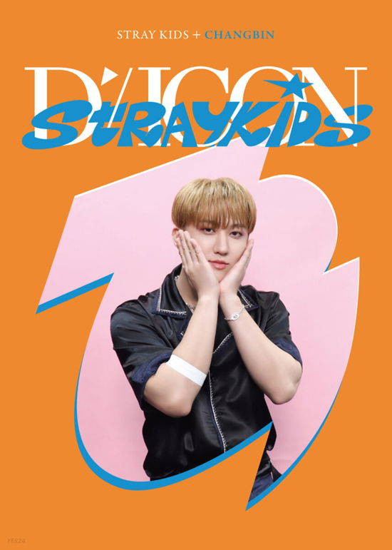Stray Kids · Dicon D’festa Mini Edition Stray Kids : 03 Changbin (Book) (2022)