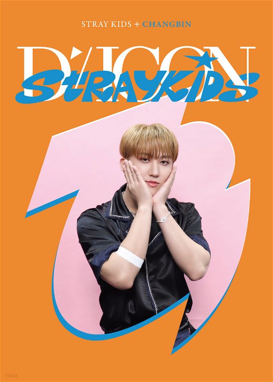 Cover for Stray Kids · Dicon D’festa Mini Edition Stray Kids : 03 Changbin (Bog) (2022)