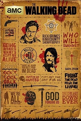 Cover for Walking Dead (the) · Walking Dead (The): Infographic (Poster Maxi 61x91,5 Cm) (MERCH)