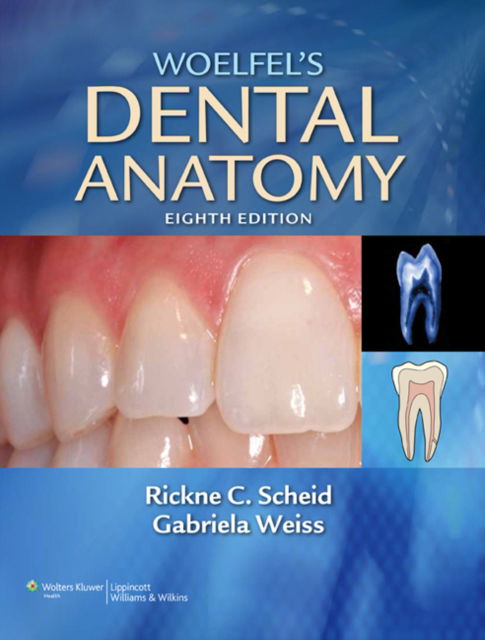 Cover for Rickne C. Scheid · Woelfel's Dental Anatomy: It's Relevance to Dentistry (Paperback Book) [7 Rev edition] (2007)