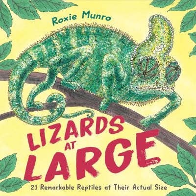 Cover for Roxie Munro · Lizards at Large: 21 Remarkable Reptiles at their Actual Size (Hardcover Book) (2023)