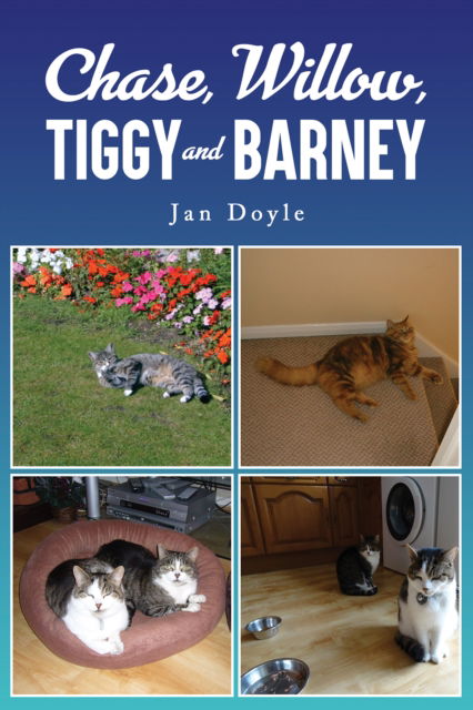 Cover for Jan Doyle · Chase, Willow, Tiggy and Barney (Paperback Book) (2024)