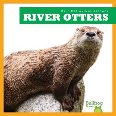 Cover for Cari Meister · River Otters (Innbunden bok) (2018)