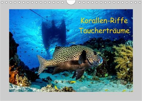 Cover for Caballero · Korallen-Riffe Taucherträume (Book)