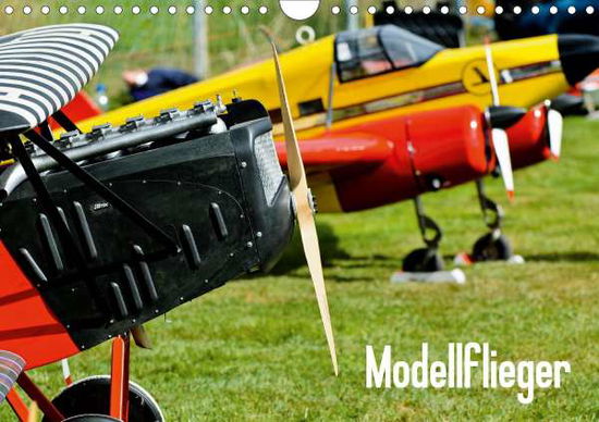 Cover for Selig · Modellflieger (Wandkalender 2021 (Book)