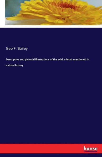 Cover for Bailey · Descriptive and pictorial illust (Buch) (2016)