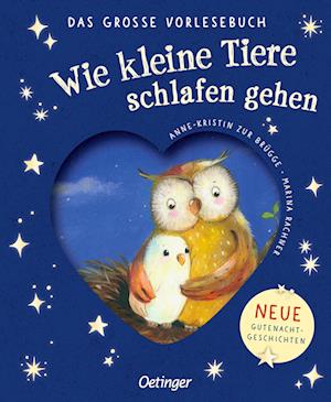 Cover for Anne-Kristin zur Brügge · Wie kleine Tiere schlafen gehen. Das große Vorlesebuch (Book) (2024)