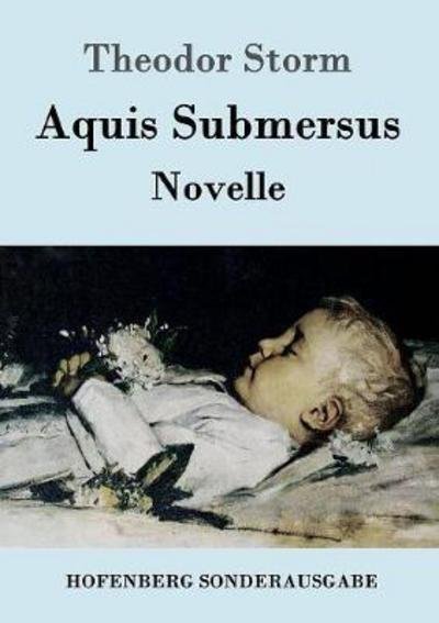 Cover for Storm · Aquis Submersus (Bog) (2016)