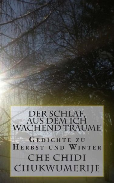 Cover for Che Chidi Chukwumerije · Der Schlaf, Aus Dem Ich Wachend Traume (Paperback Book) (2015)