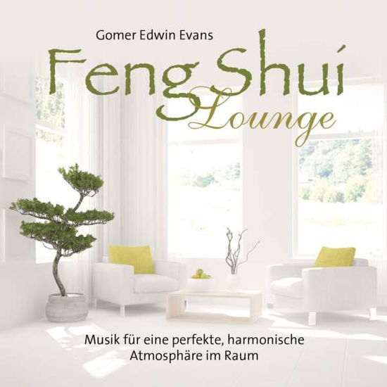 Cover for Gomer Edwin Evans · Feng Shui Lounge (Bok) (2019)