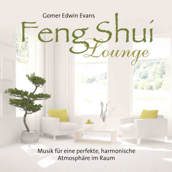 Cover for Gomer Edwin Evans · Feng Shui Lounge (Buch) (2019)