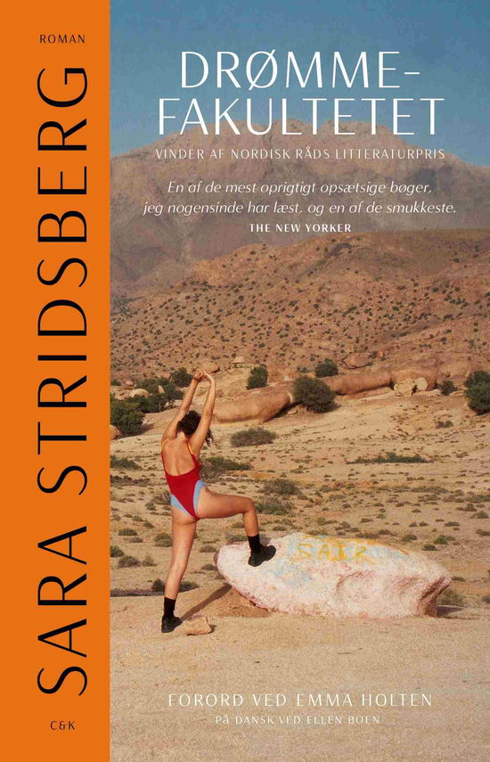 Cover for Sara Stridsberg · Drømmefakultetet (Paperback Book) [3rd edition] (2025)