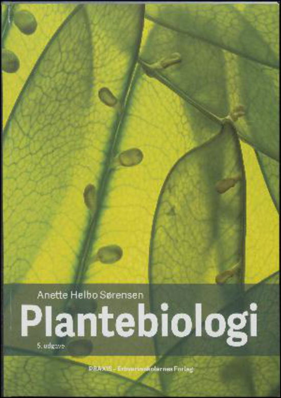 Cover for Anette Helbo Sørensen · Plantebiologi (Sewn Spine Book) [5º edição] (2017)