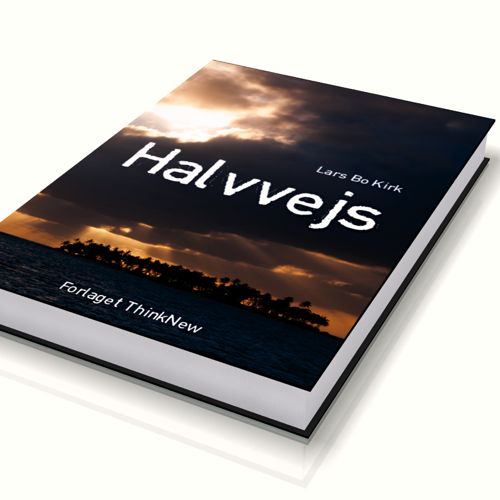 Halvvejs - Lars Bo Kirk - Books - Forlaget ThinkNew - 9788799565603 - November 19, 2012