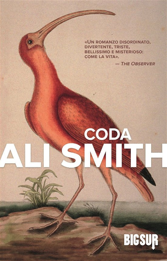 Cover for Ali Smith · Coda (Buch)