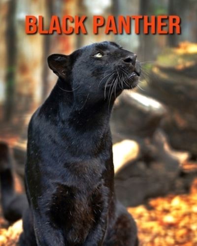 Cover for William Doyle · Black Panther (Paperback Book) (2020)