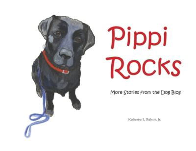 Cover for Babson, Katherine L., Jr. · Pippi Rocks (Bog) (2023)