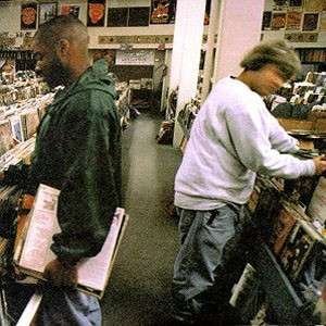 Cover for Dj Shadow · Endtroducing... (LP) (2011)