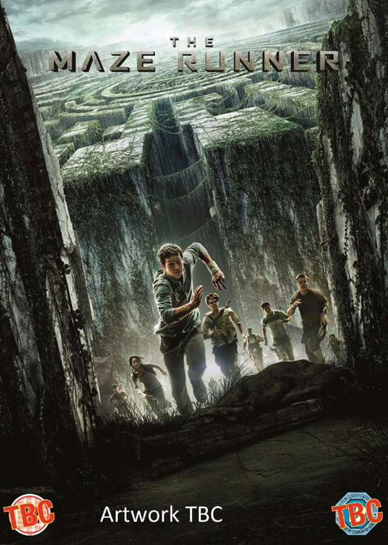 The Maze Runner - The Maze Runner - Elokuva - 20th Century Fox - 5039036071604 - maanantai 9. helmikuuta 2015