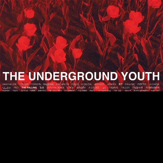 Cover for Underground Youth · Falling (CD) (2021)