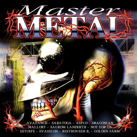 Cover for Master Metal (CD) (2002)
