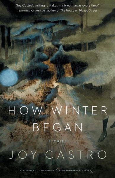 Cover for Joy Castro · How Winter Began: Stories - Flyover Fiction (Paperback Book) (2015)