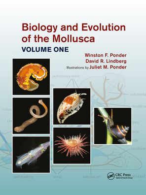 Cover for Winston Frank Ponder · Biology and Evolution of the Mollusca, Volume 1 (Pocketbok) (2021)