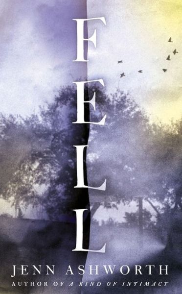 Cover for Jenn Ashworth · Fell (Hardcover Book) (2016)