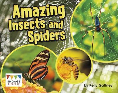 Cover for Kelly Gaffney · Amazing Insects and Spiders - Engage Literacy Turquoise - Extension A (Paperback Book) (2016)