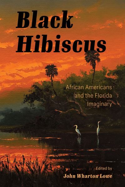 Cover for Black Hibiscus: African Americans and the Florida Imaginary (Paperback Book) (2024)