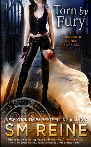 Cover for S M Reine · Torn by Fury: an Urban Fantasy Novel (The Ascension Series) (Volume 6) (Paperback Bog) [1st edition] (2014)