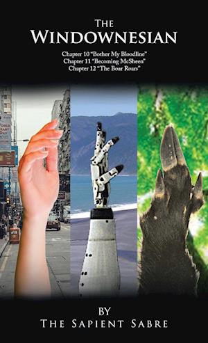 Windownesian - The Sapient The Sapient Sabre - Bøger - Partridge Publishing - 9781543780604 - 15. august 2023
