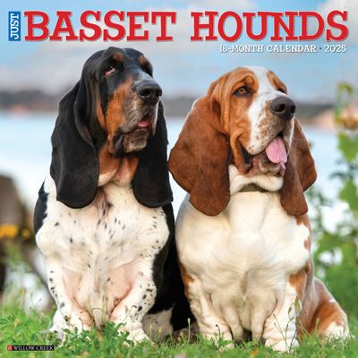 Cover for Willow Creek Press · Just Basset Hounds 2025 12 X 12 Wall Calendar (Calendar) (2024)