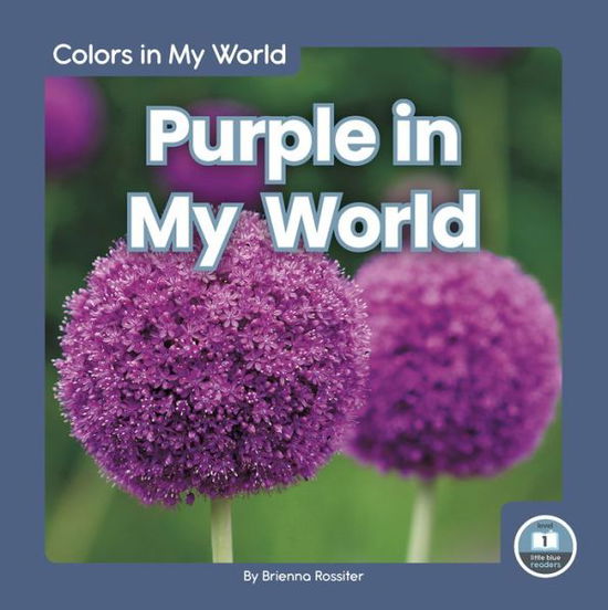 Cover for Brienna Rossiter · Purple in My World - Colors in My World (Hardcover Book) (2020)