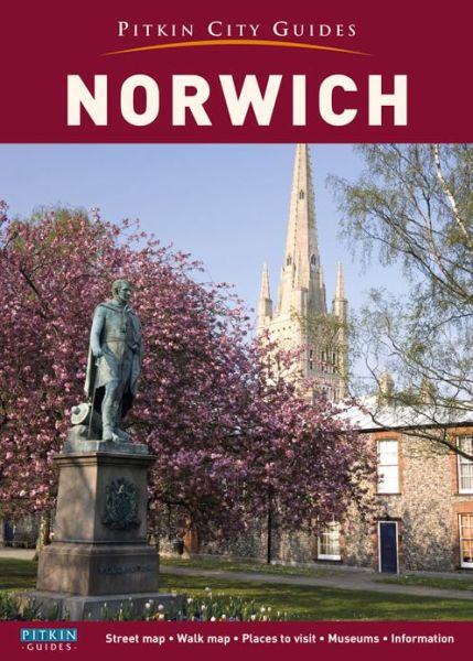 Cover for Annie Bullen · Norwich City Guide (Paperback Book) (2014)