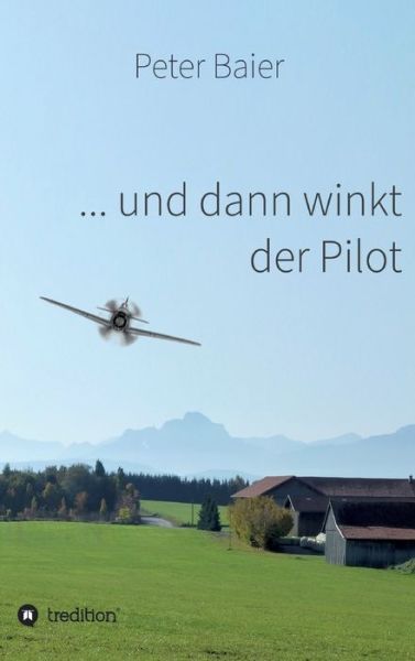 ... und dann winkt der Pilot - Baier - Books - - 9783347010604 - March 30, 2020