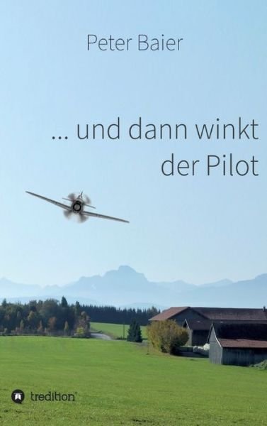 Cover for Baier · ... und dann winkt der Pilot (Bok) (2020)
